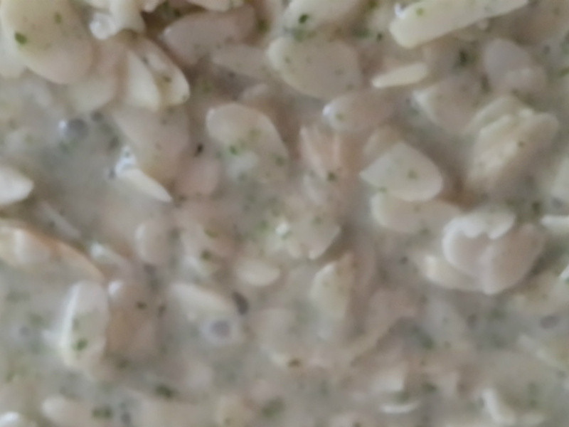 ��̦������Ƭ������