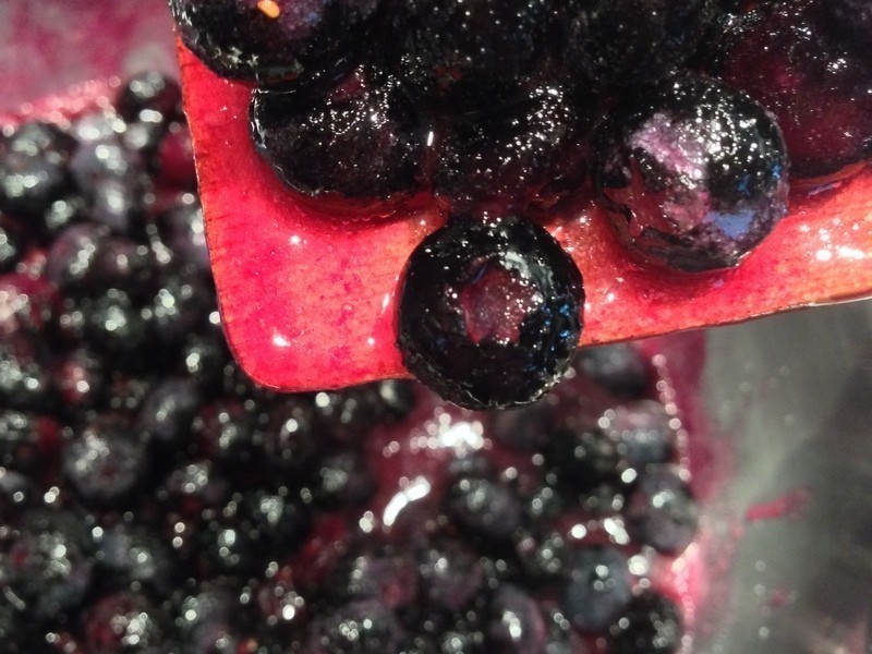 ������ݮ��������