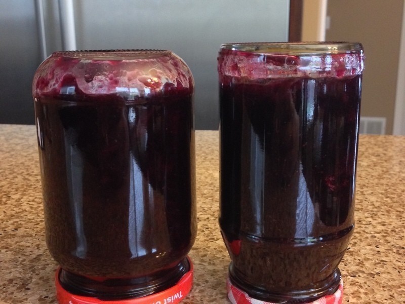 ������ݮ��������