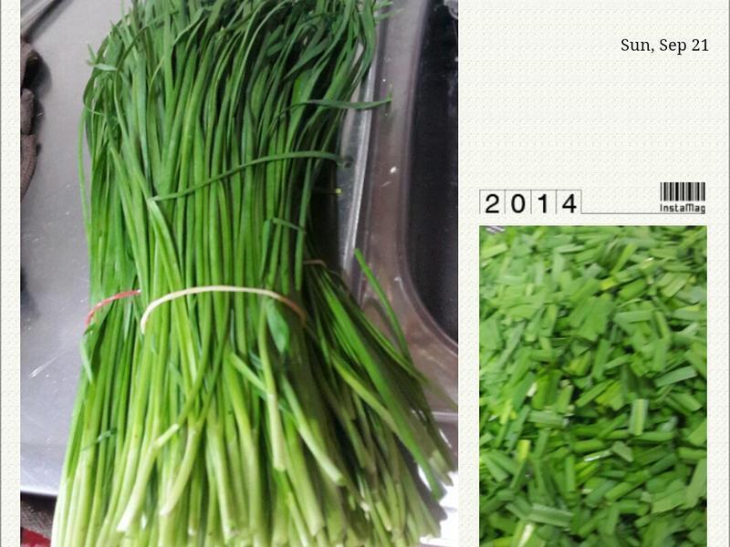 �²�����ƨƨ�ȵ�����