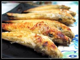 ���ɳ���������