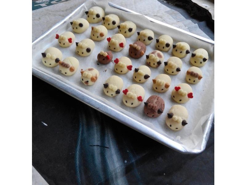 �¹��ֱ� ֮ ������������