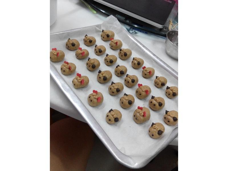 �¹��ֱ� ֮ ������������