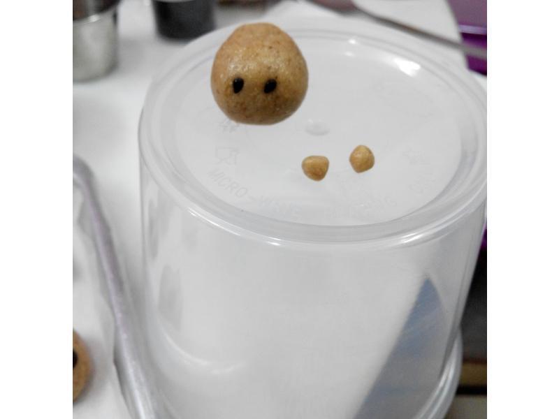 �¹��ֱ� ֮ ������������