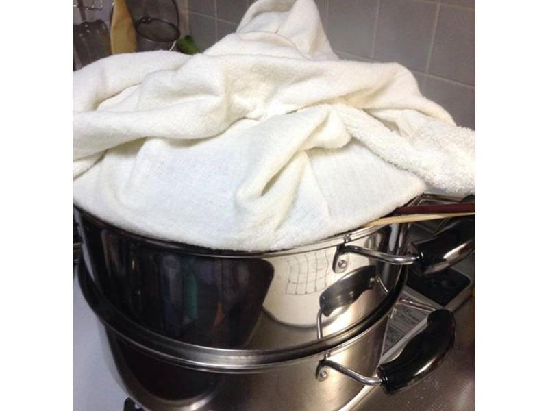 ȫ��ţ����ͷ������