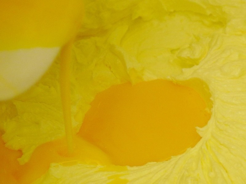 ʥ����ݮ��������