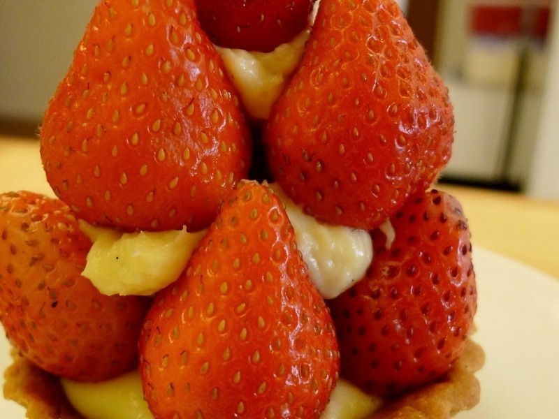 ʥ����ݮ��������