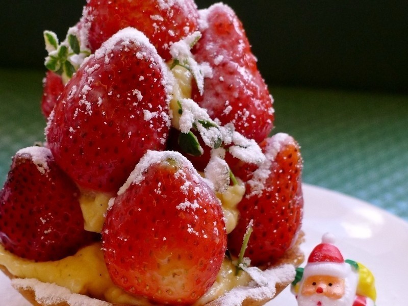 ʥ����ݮ��������