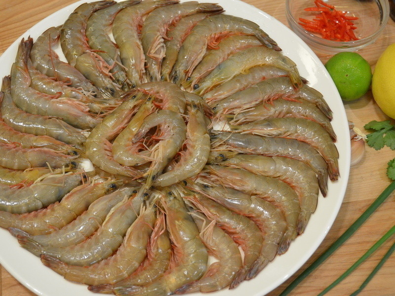 ����������Ϻ������