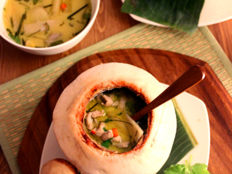 ̩ʽ����Ҭ����������