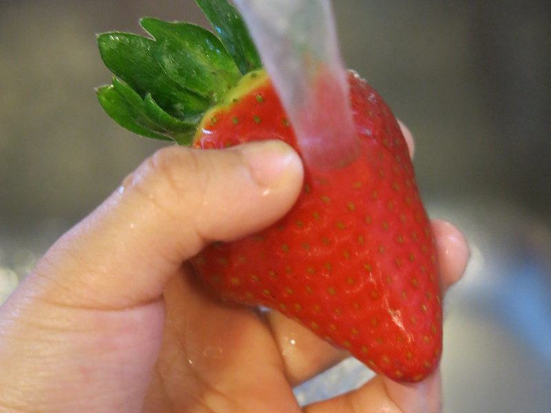 ��ݮ�����ɱ�������