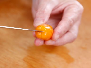 ÷�����۳����ѵ�����