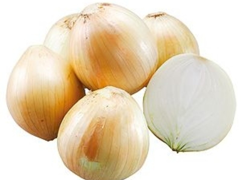 ��ʽ���Ѽ�������������