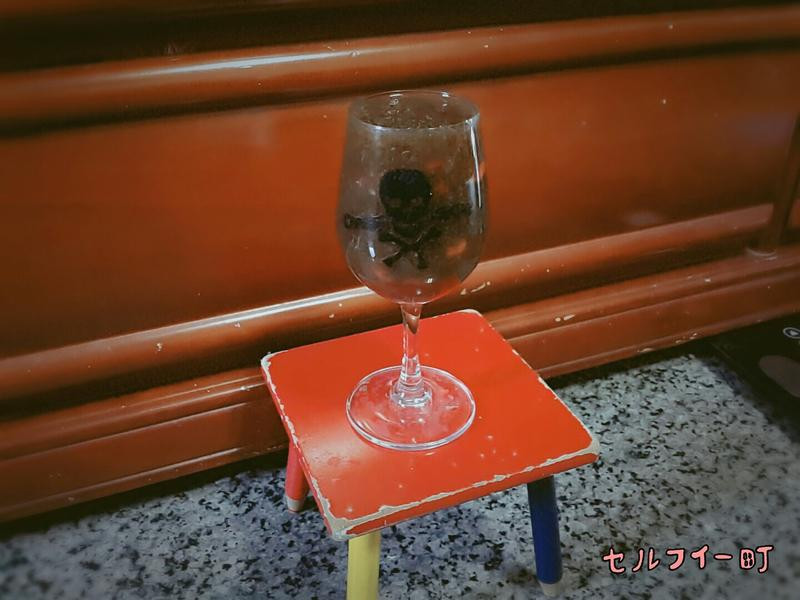 ������ľ��¶������