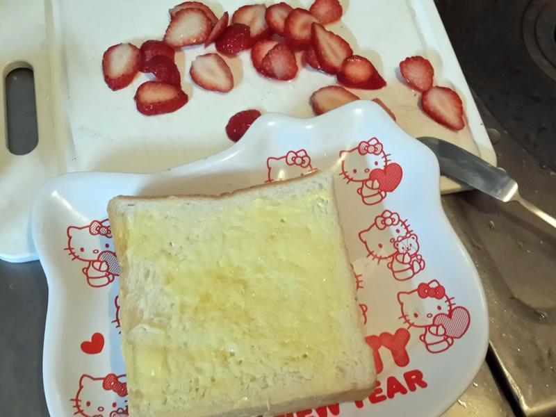 ��ݮ���̿���˾������