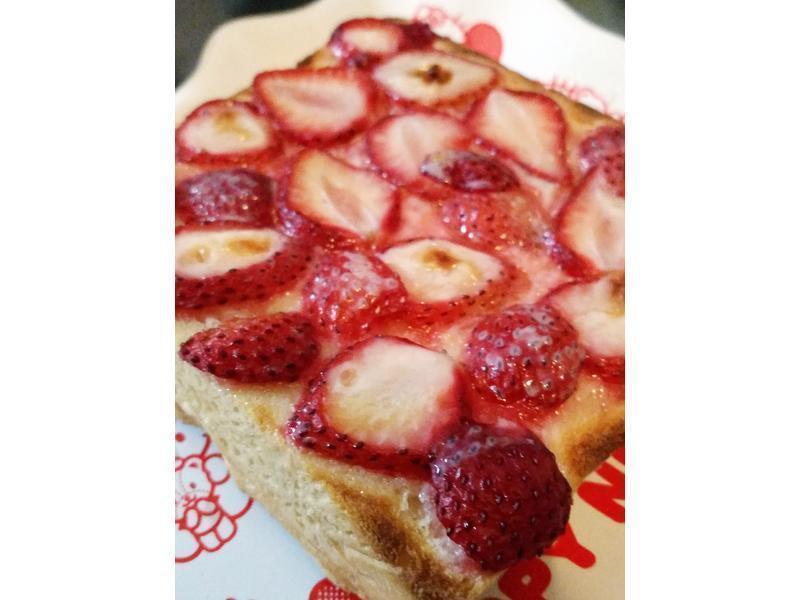 ��ݮ���̿���˾������