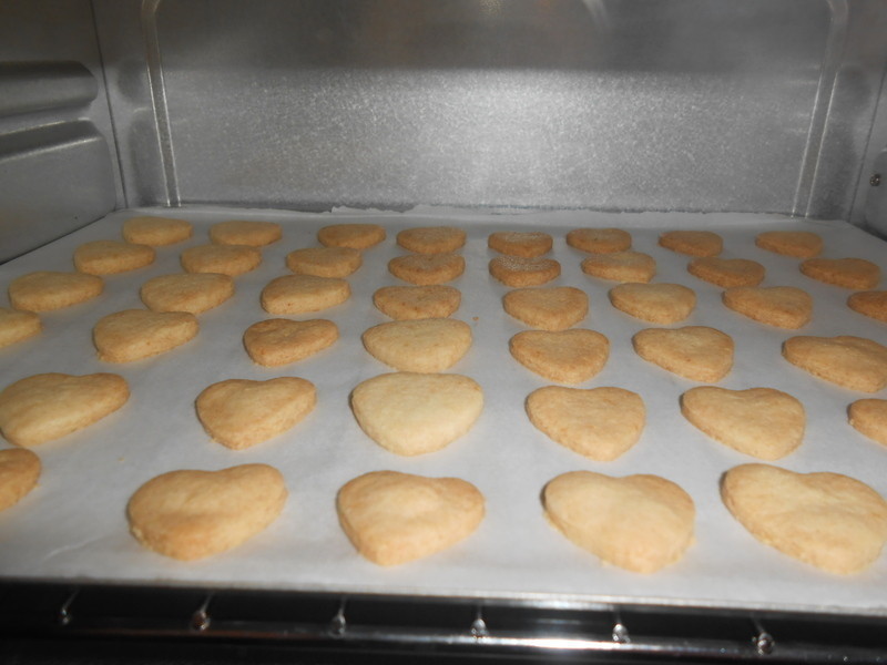 �޵����ɤ�Ҭ�����������ױ��ɵ�����