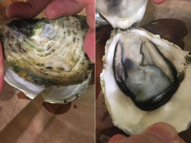 ��������ϖ������