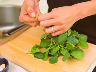 ��������������������