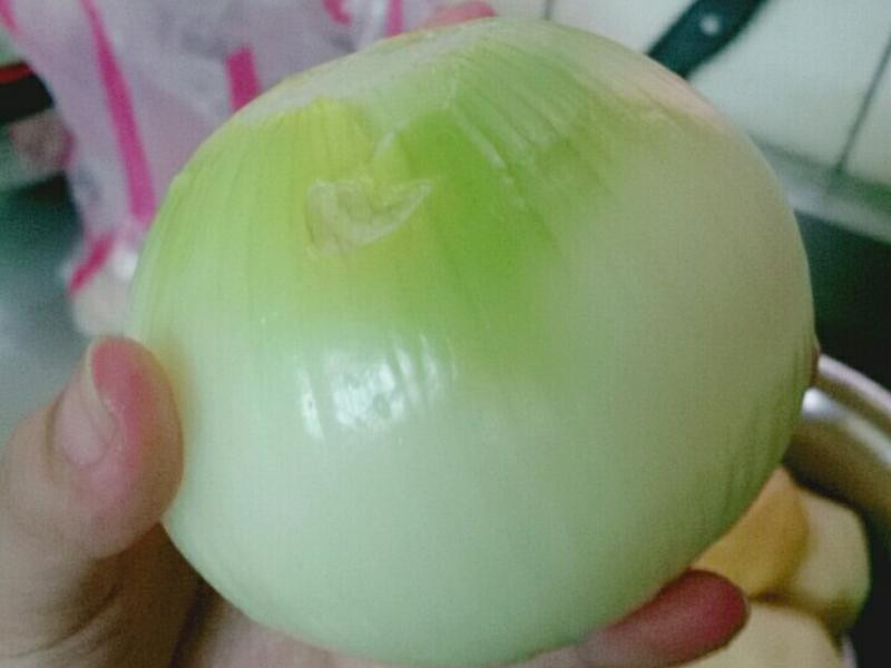 �ҵĿ���С���������