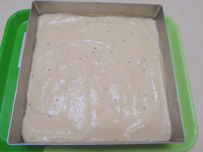 ?�ҵ���������? â��Ľ˹������