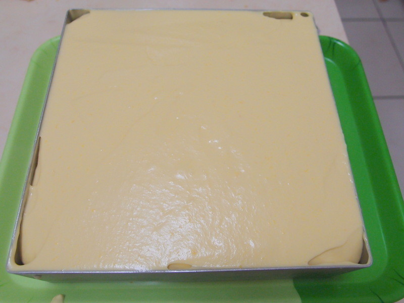 ?�ҵ���������? â��Ľ˹������