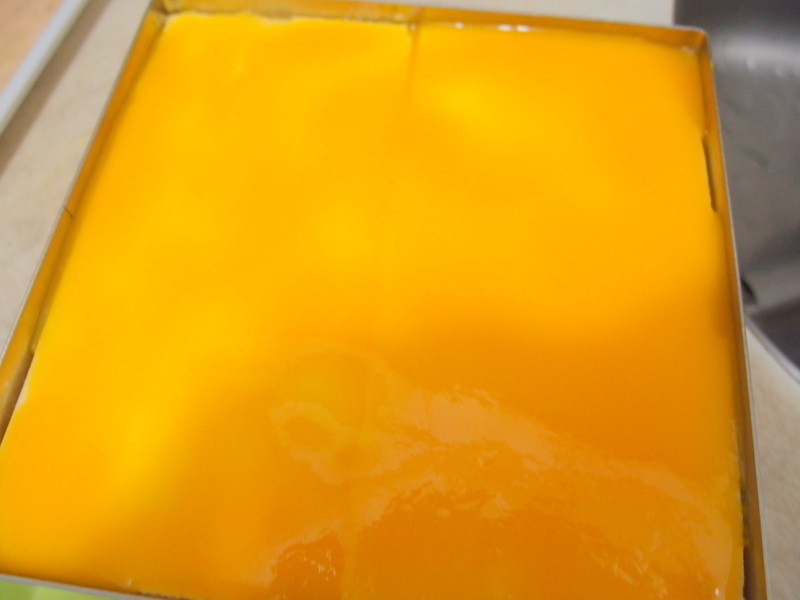 ?�ҵ���������? â��Ľ˹������