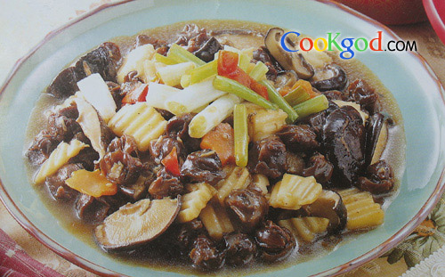 ˫����Ƭ������