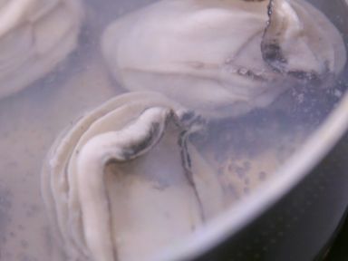 �j�Ɵh������