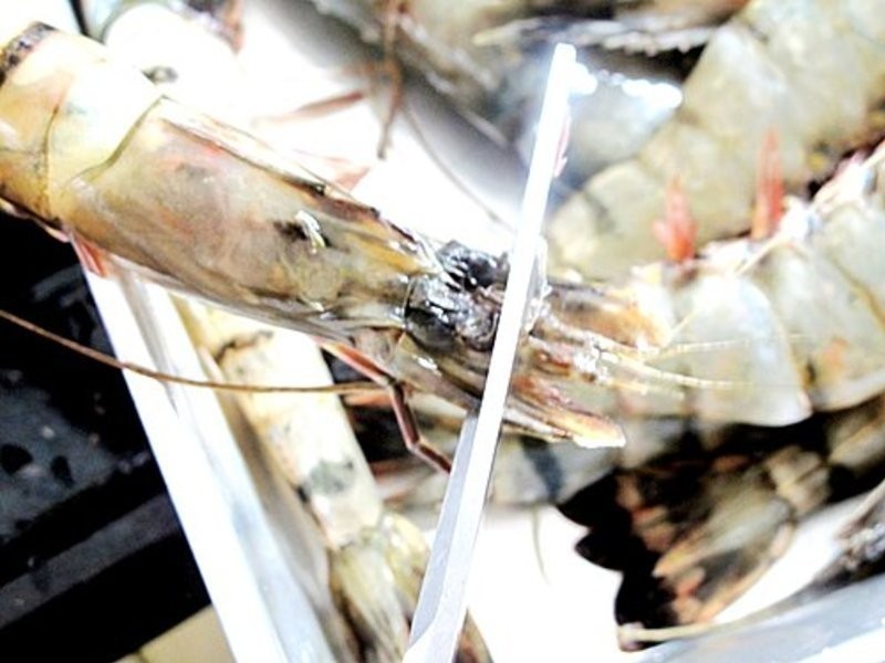 �ڽ�Ϻ������