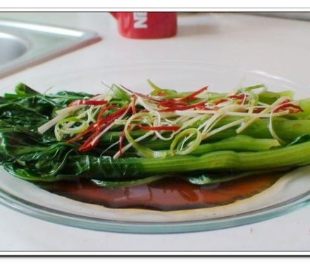 ���Ʋ��ĵ�����