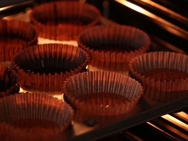 �����ֽ�����������