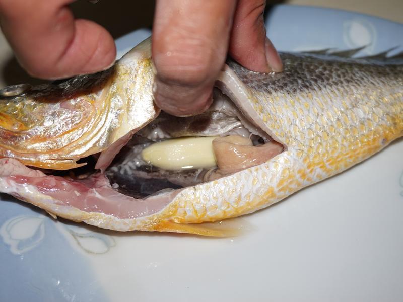 ���������㡻�����~���������������