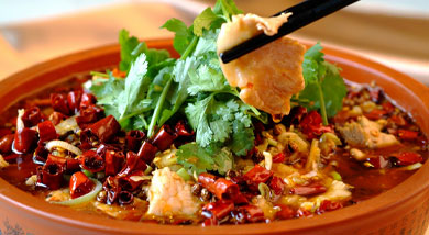 ˮ����Ƭ������