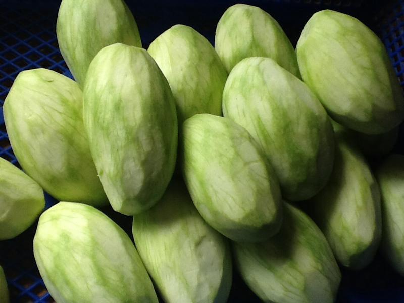 ���˹�������/â���������