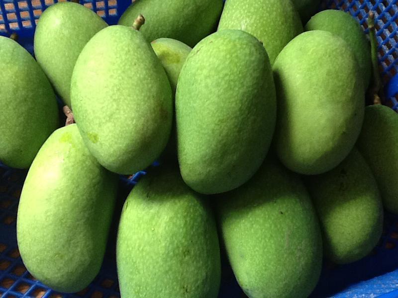 ���˹�������/â���������