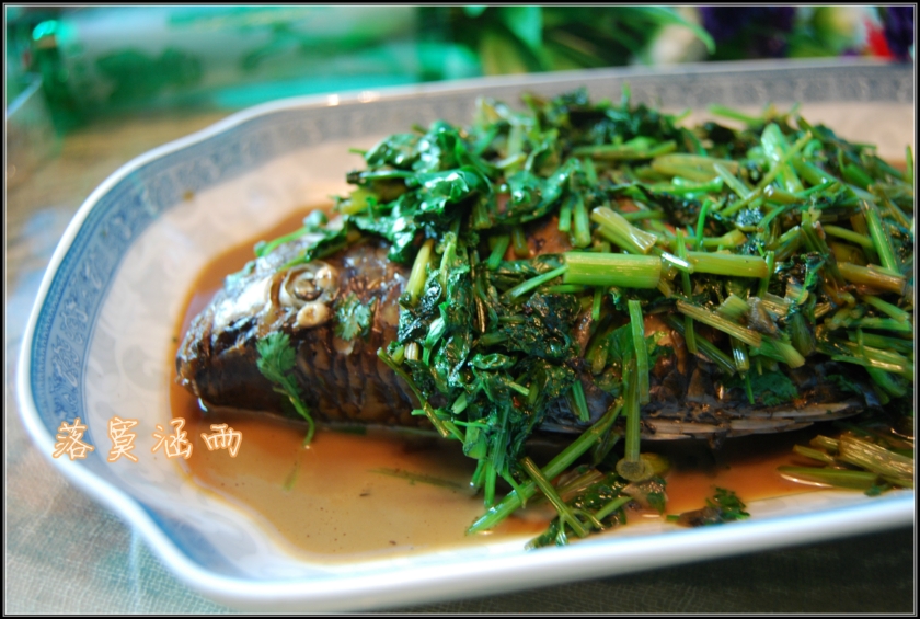 ��˿��������