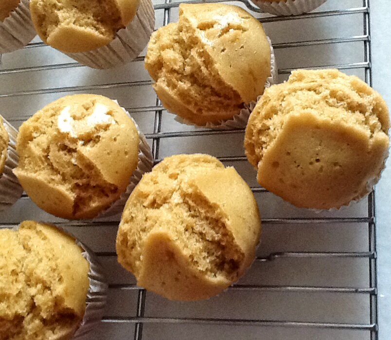 南洋风味之黑糖发糕(老面法制作马来糕)的做法