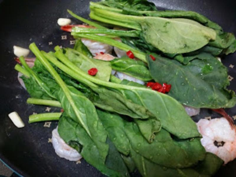 ������Ϻ��???????������