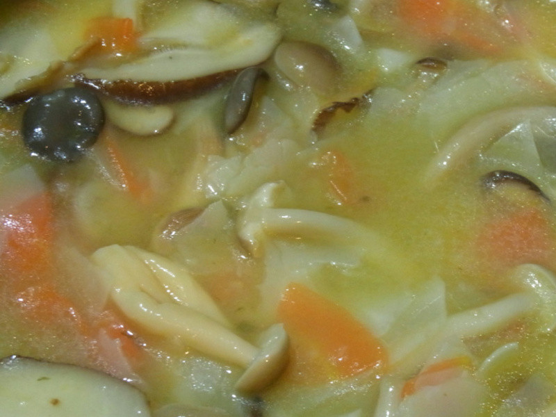 ����Ұ��Ũ��������