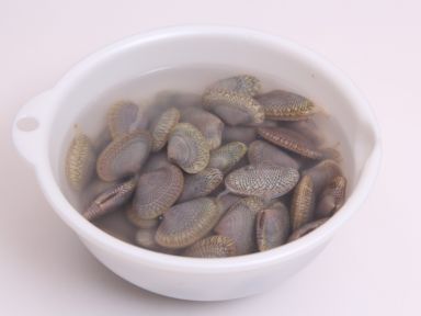 ��˷�˿��������