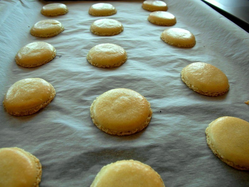 ��ʽ�̲�������������