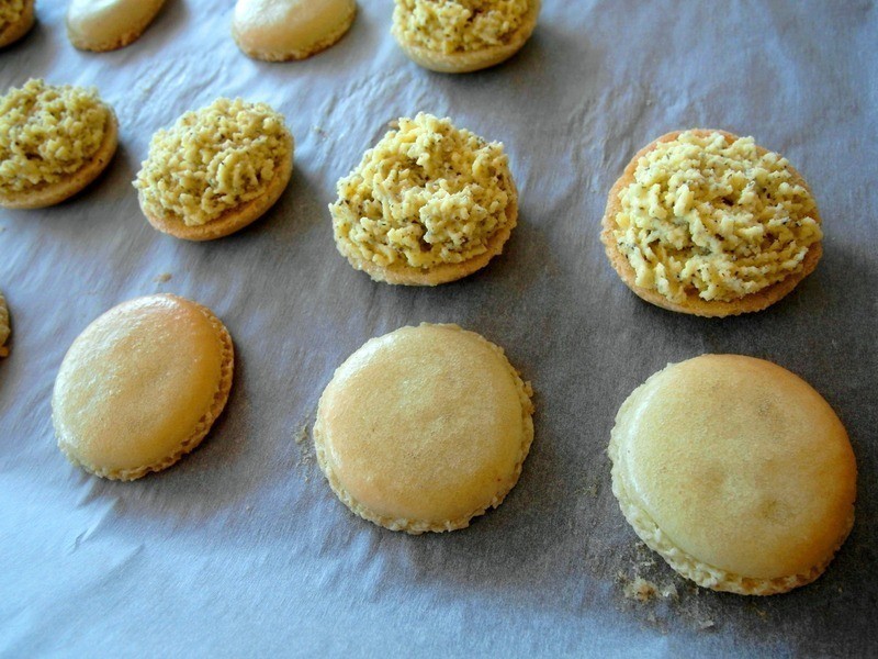 ��ʽ�̲�������������