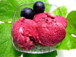 õ������ѩ�ŵ�����