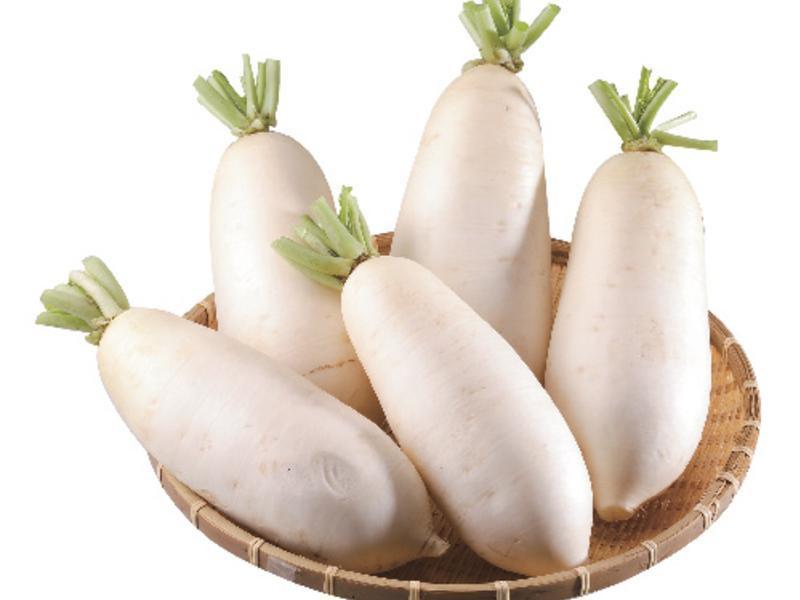 ����ʯ����������