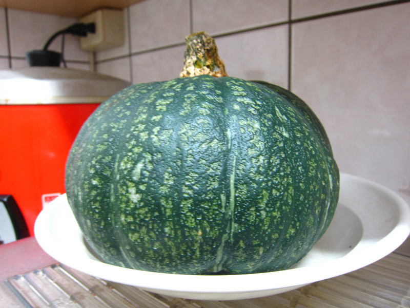 �������Ϲϰ��������