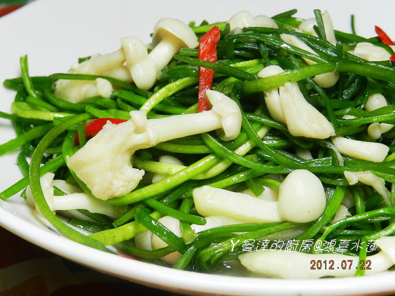 ����ѩ��ˮ��������