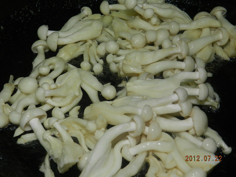 ����ѩ��ˮ��������