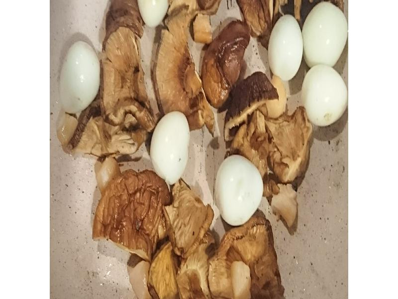 �����ȷ���ǽ������