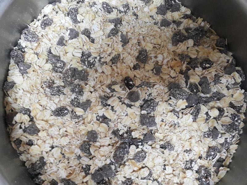 ����ݮ�������������